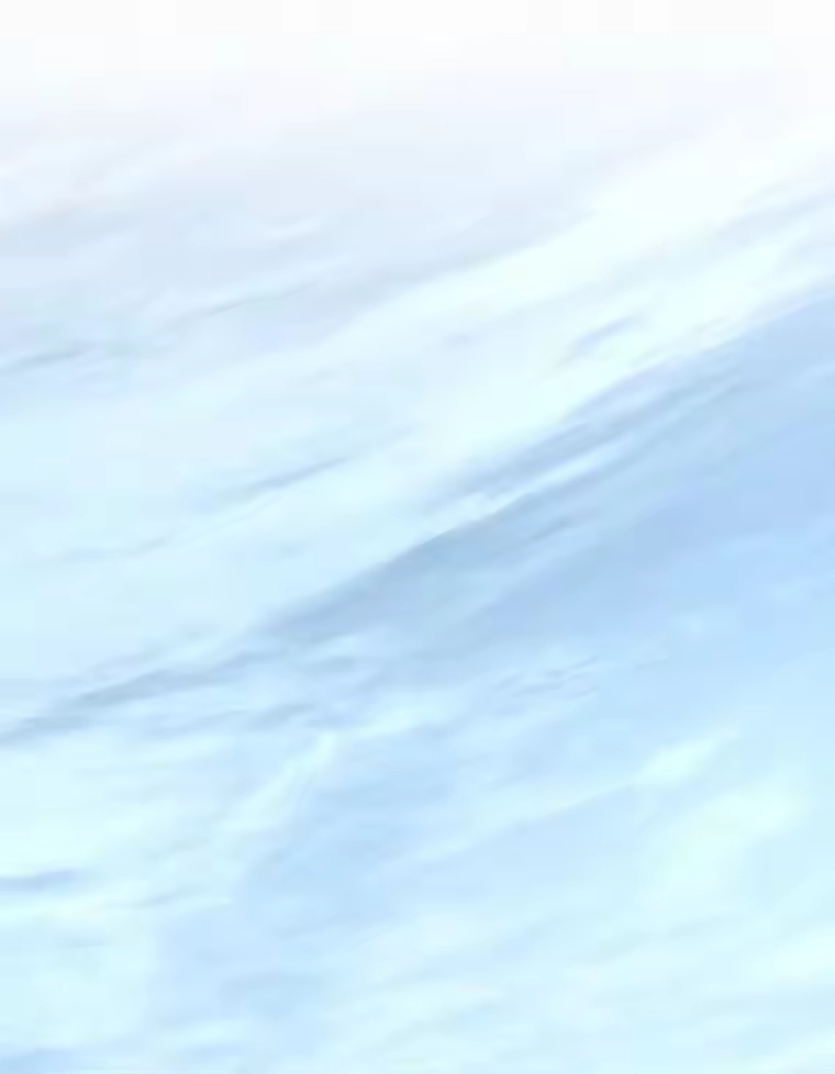 第276页