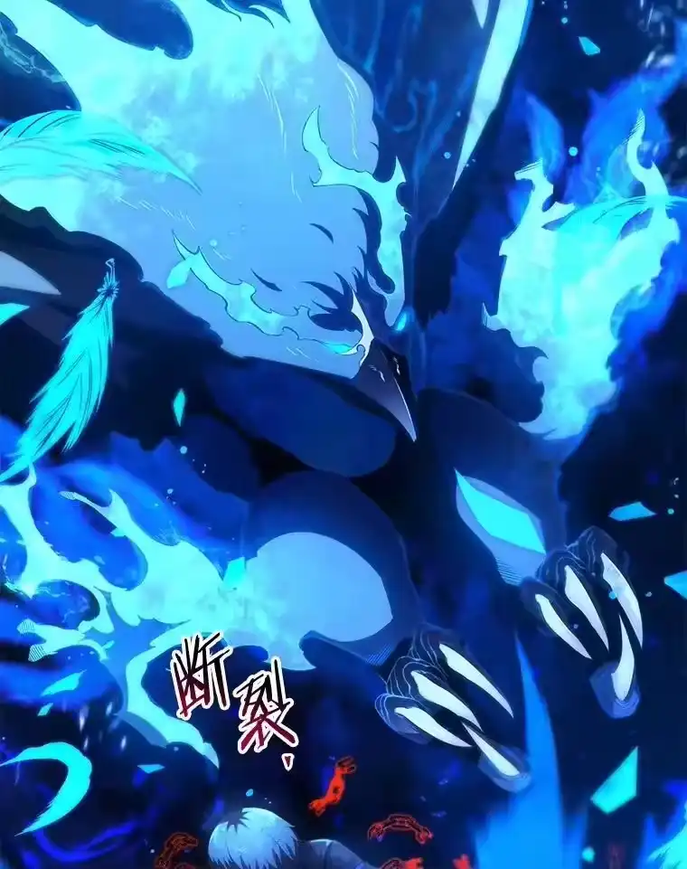 第216页