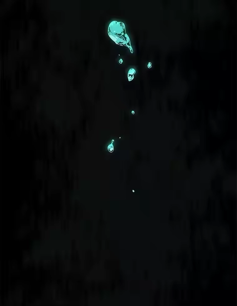 第304页