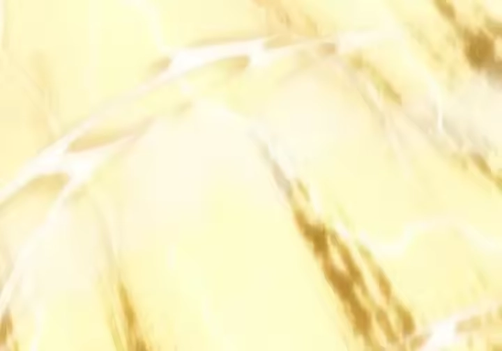第215页