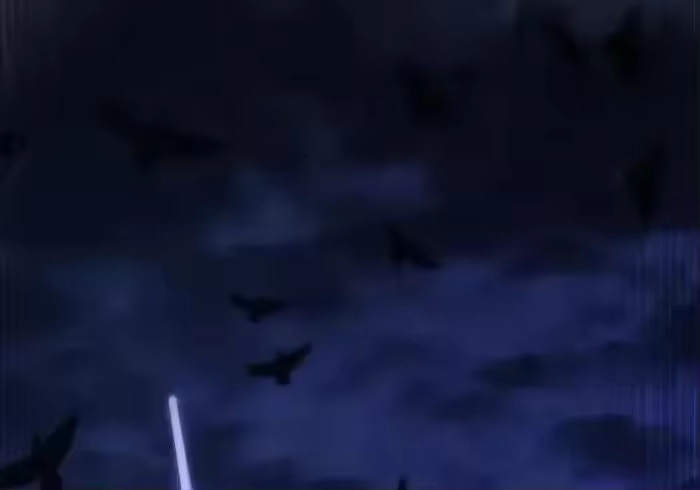 第291页