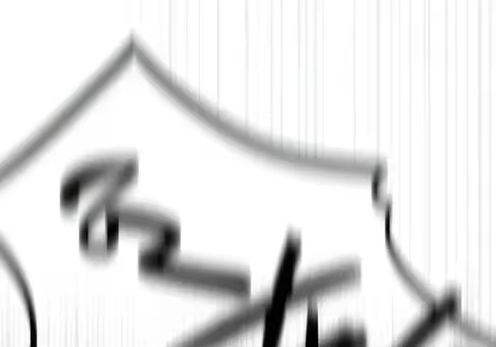 第298页