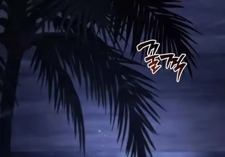 第204页