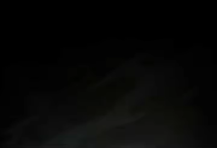 第238页