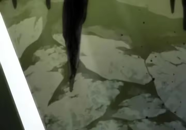 第254页