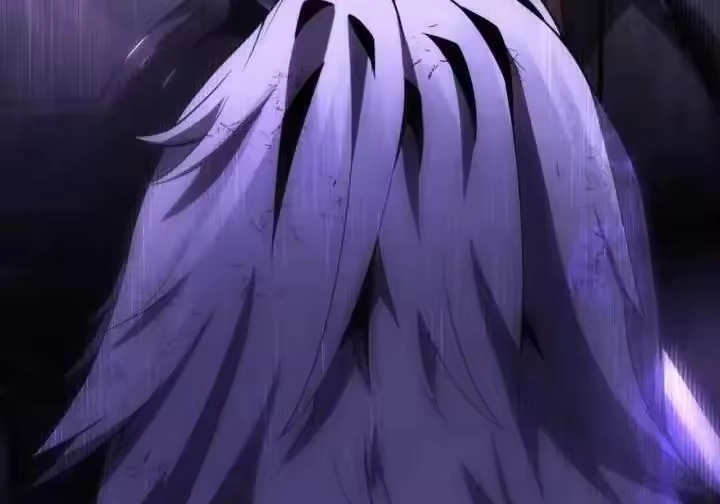 第265页