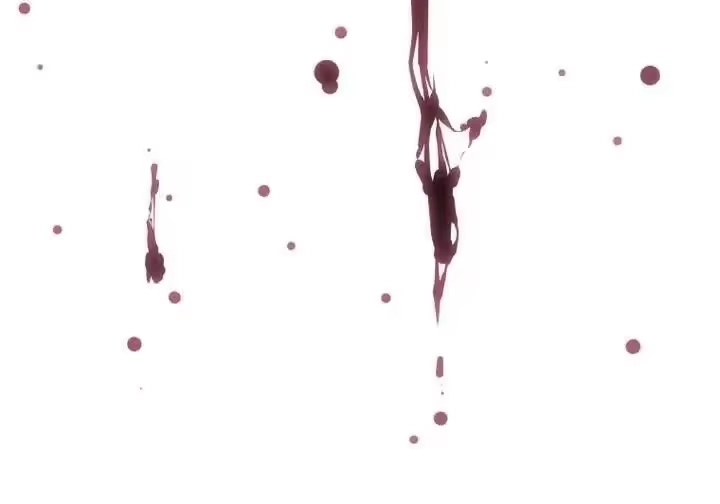第204页