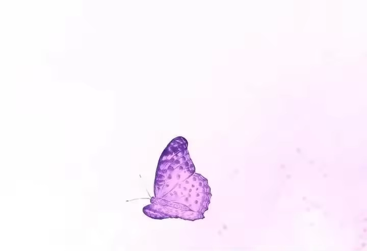 第266页