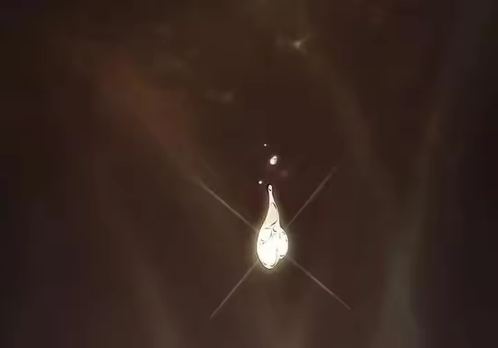 第207页