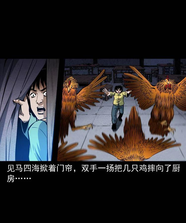 第55页