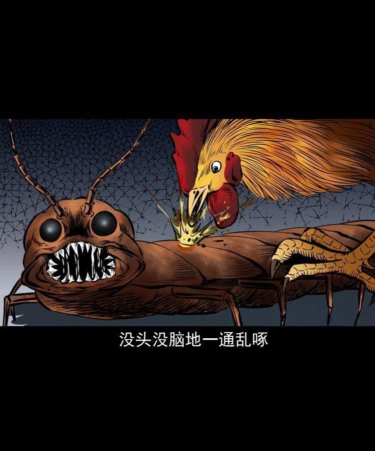 第58页