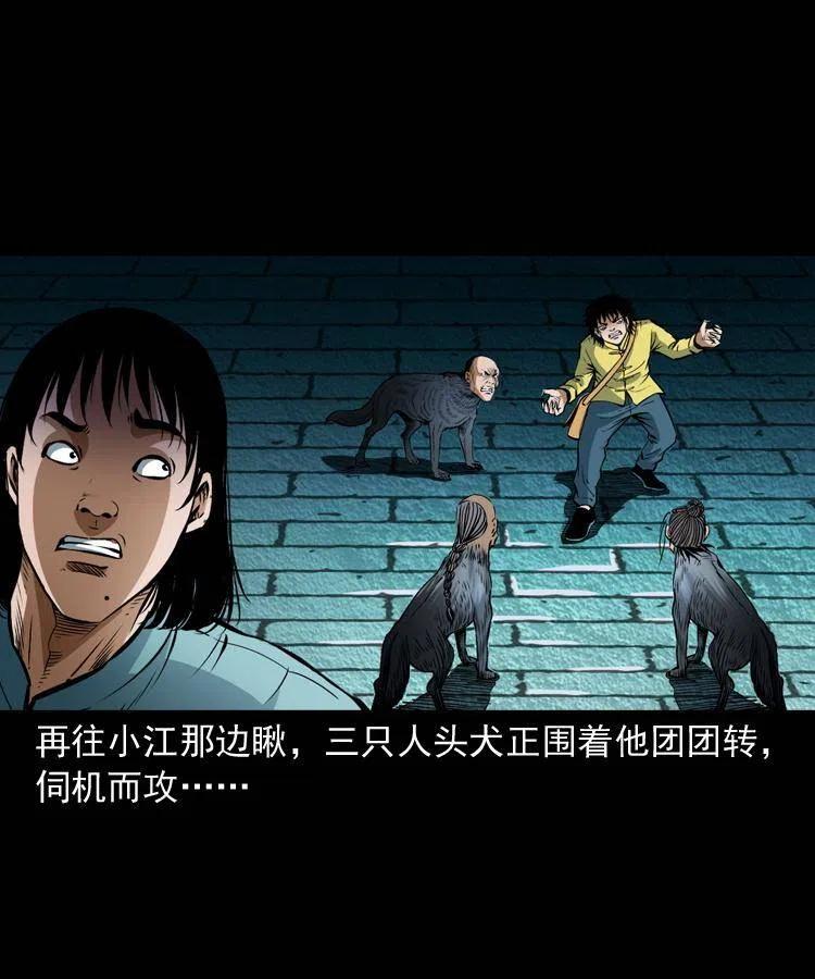 第52页