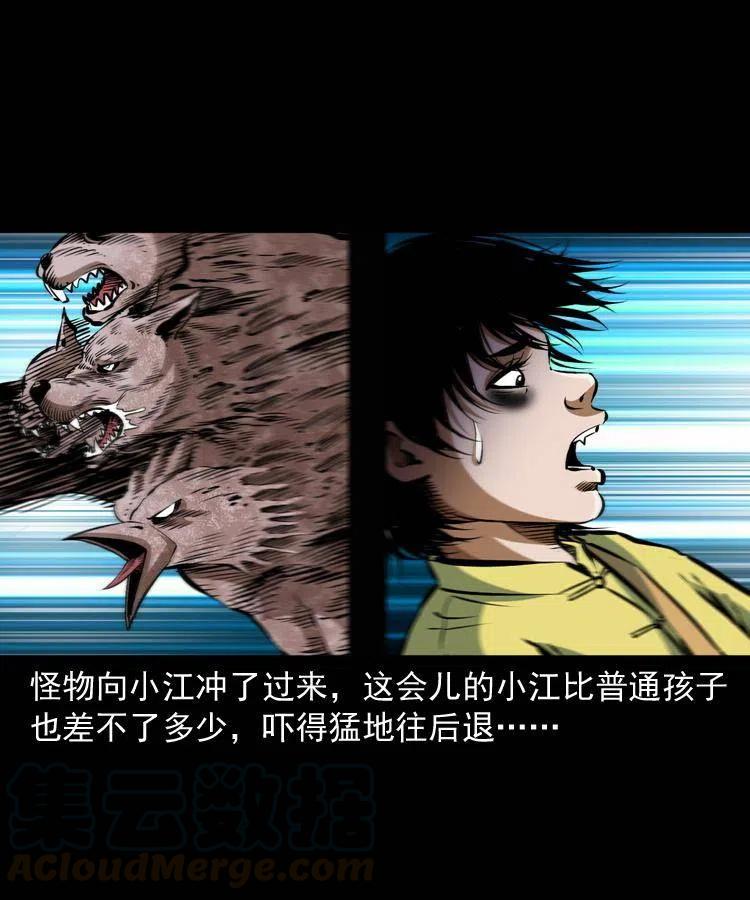 第41页