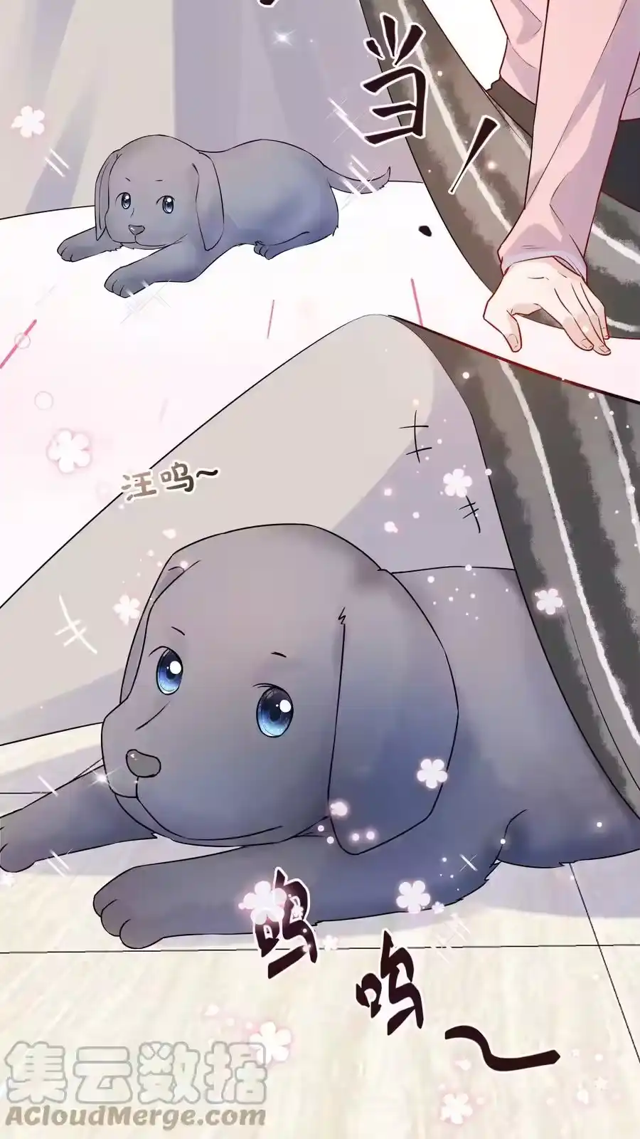 第40页