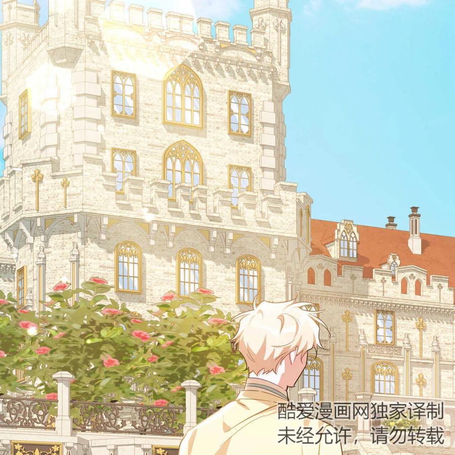第256页