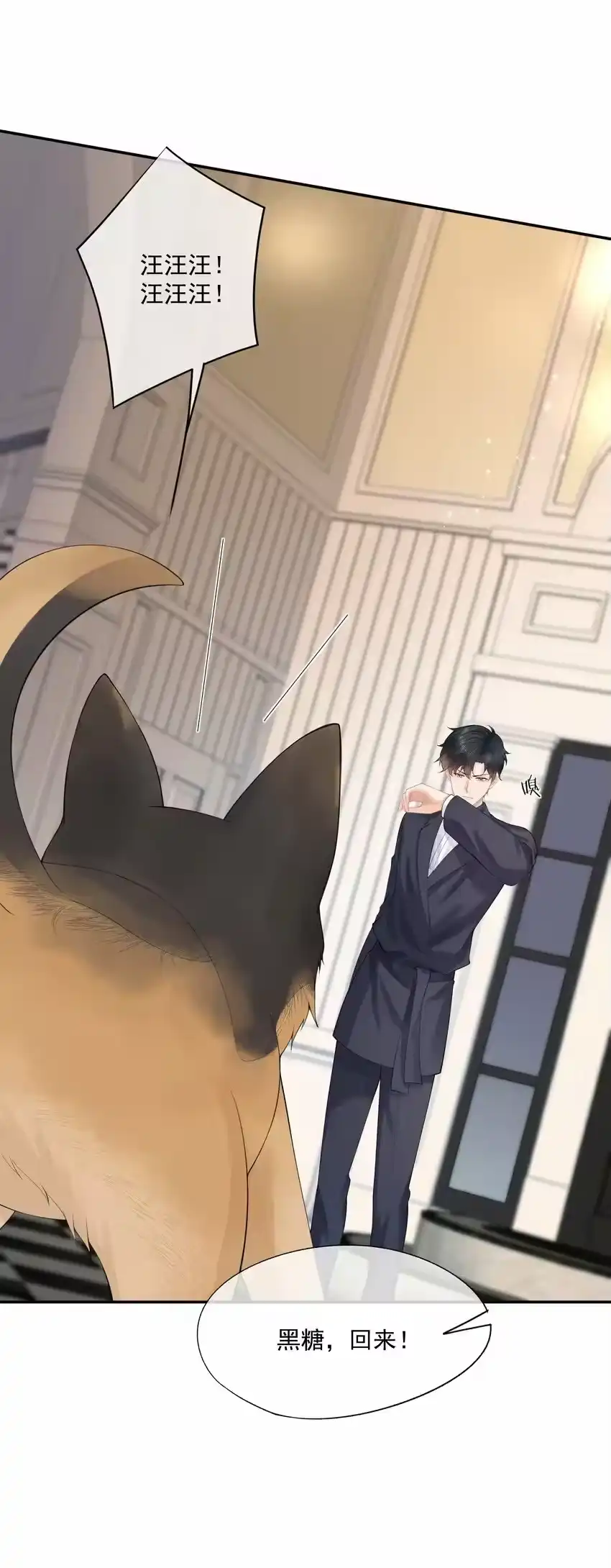 第43页