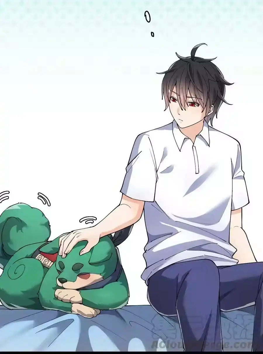 第43页