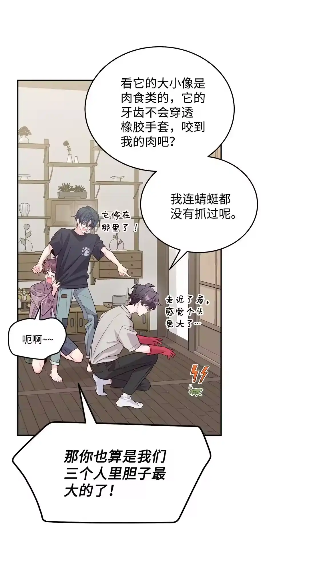 第66页