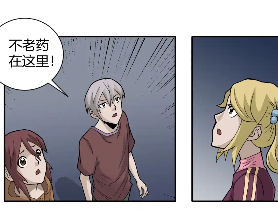 第66页