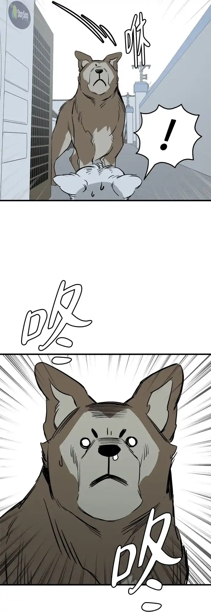 第54页