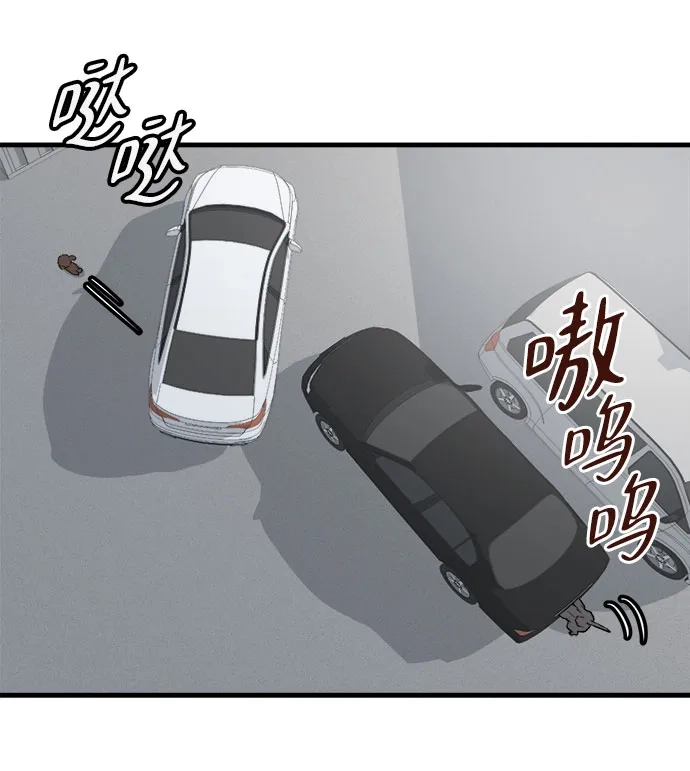 狗狗逃亡记 第41话 第52页