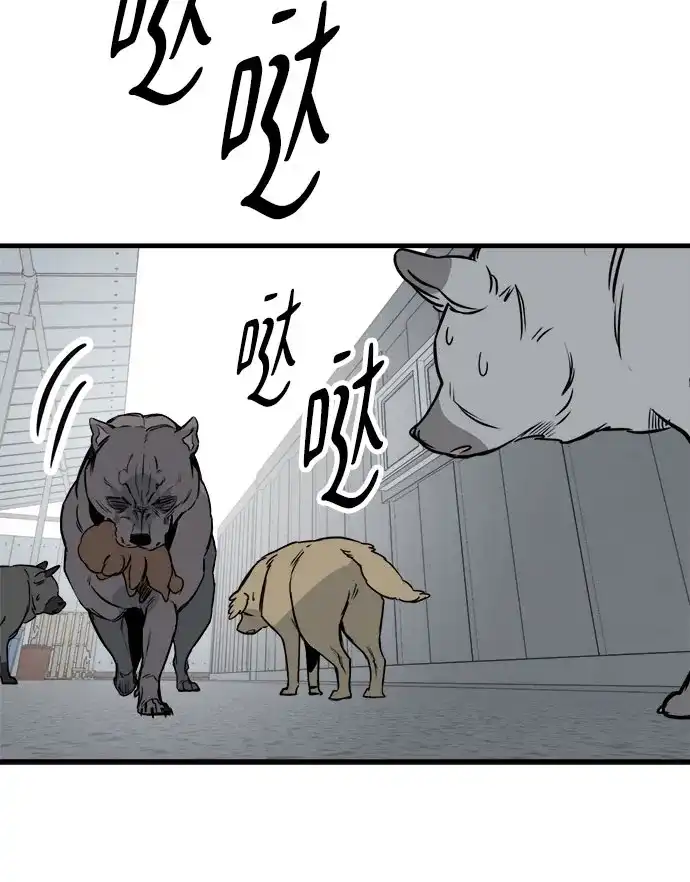 狗狗逃亡记 第42话 第9页