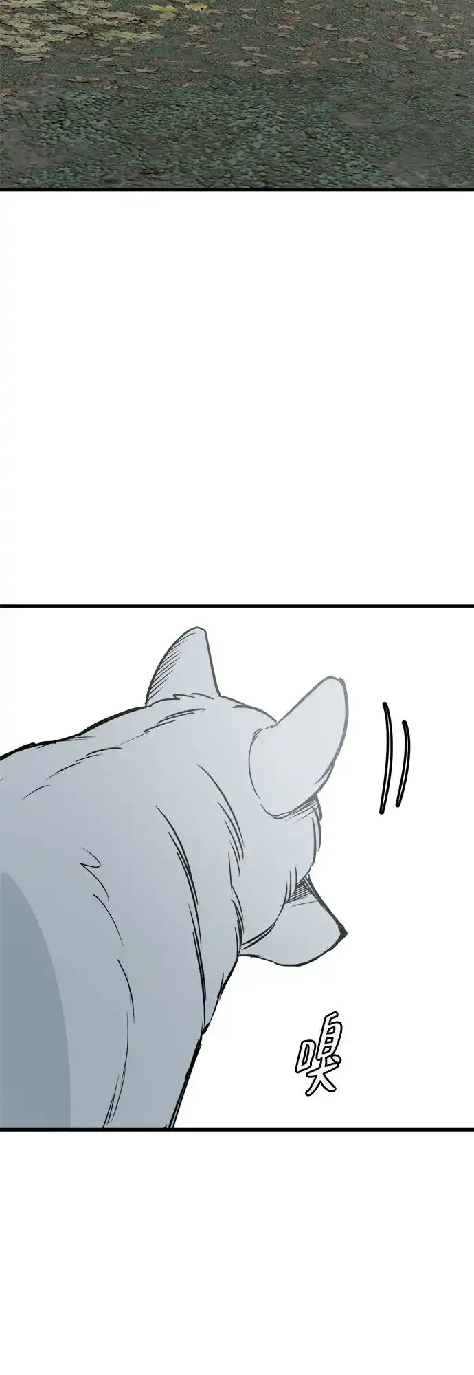狗狗逃亡记 第43话 第78页