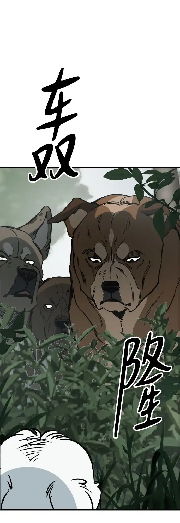 狗狗逃亡记 第44话 第46页