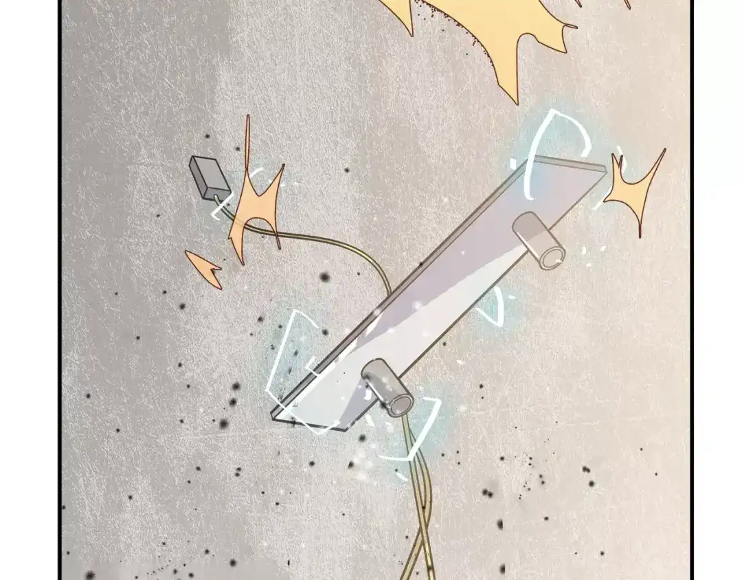 第204页