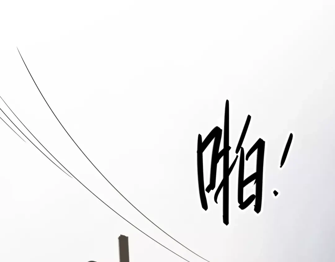 第216页