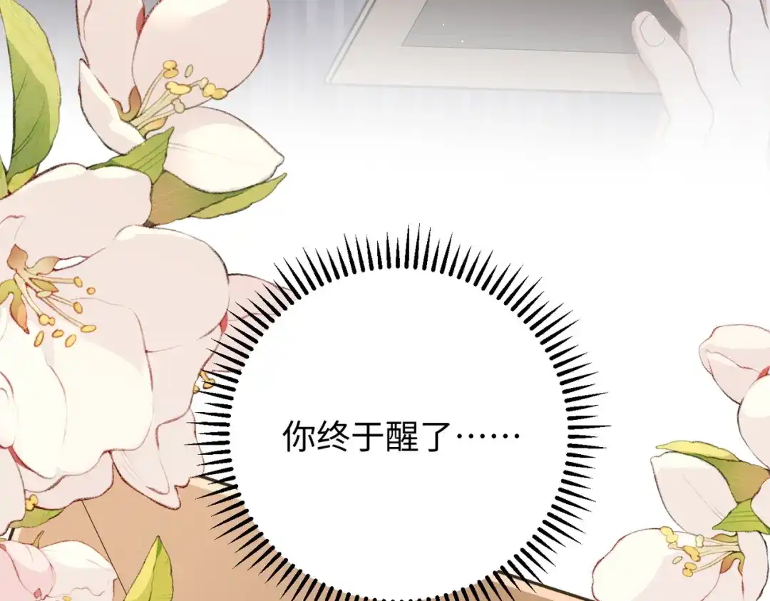 第207页