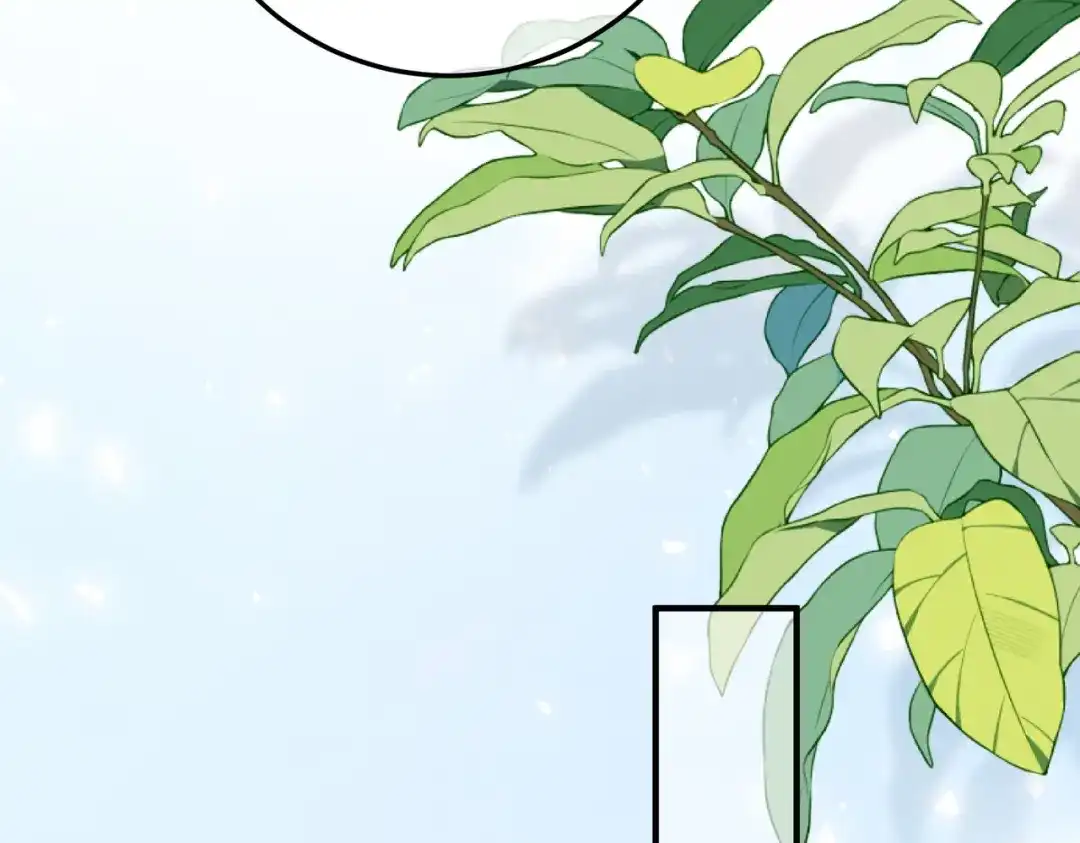 卑鄙的婚姻 035话：照片 第41页