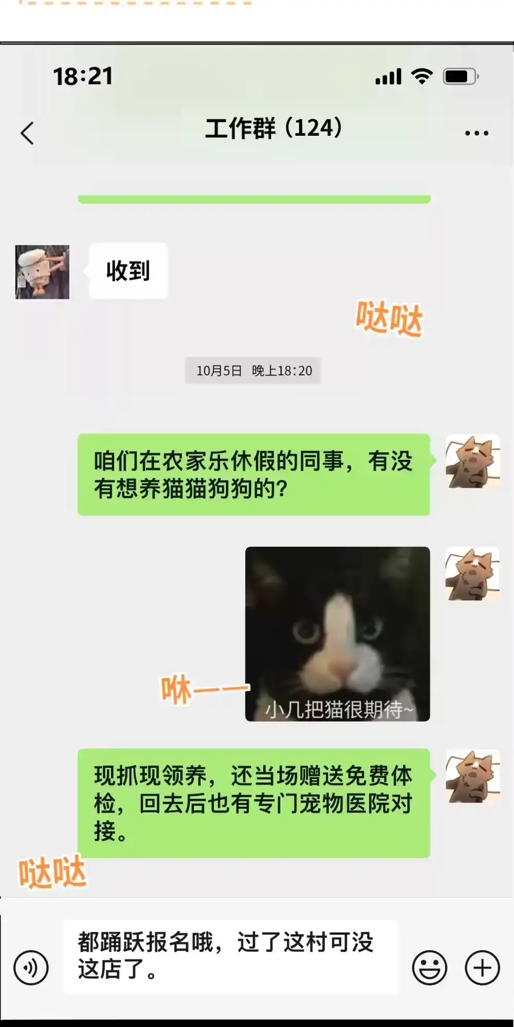 第34页