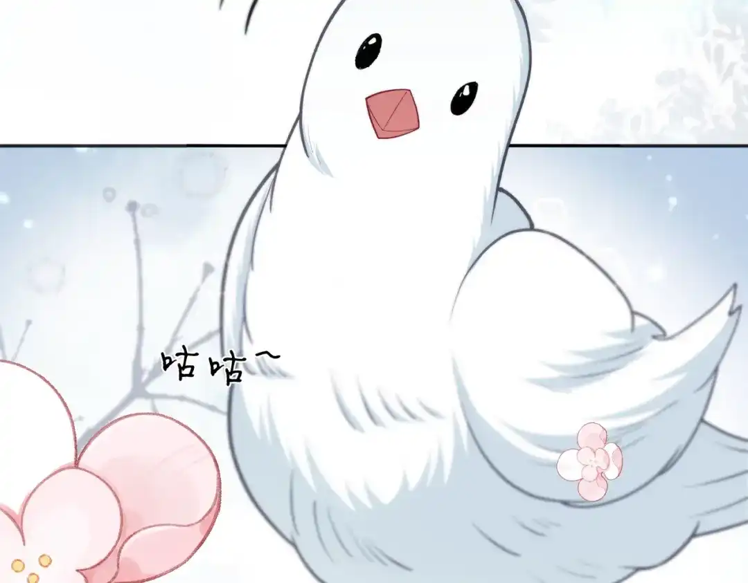 姐姐，今生我送你上路 016 先行一步 第17页