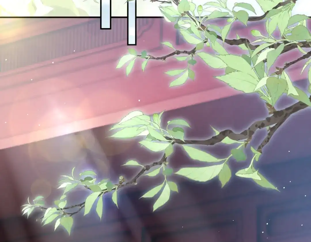 姐姐，今生我送你上路 016 先行一步 第21页