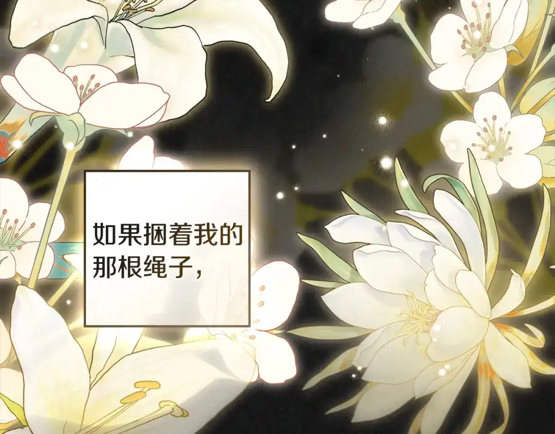 第205页
