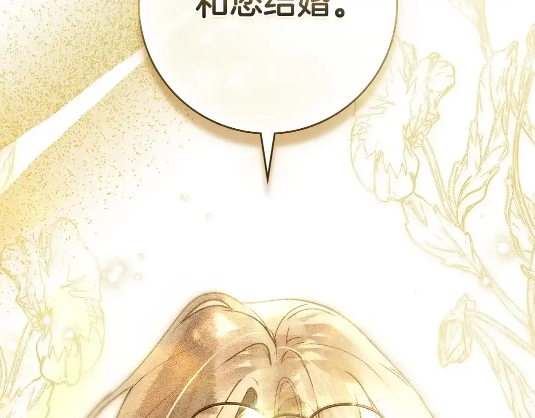 第213页