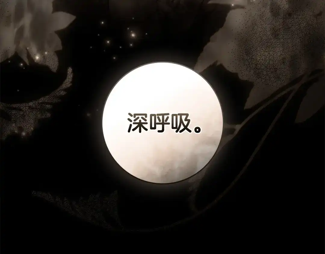 第213页