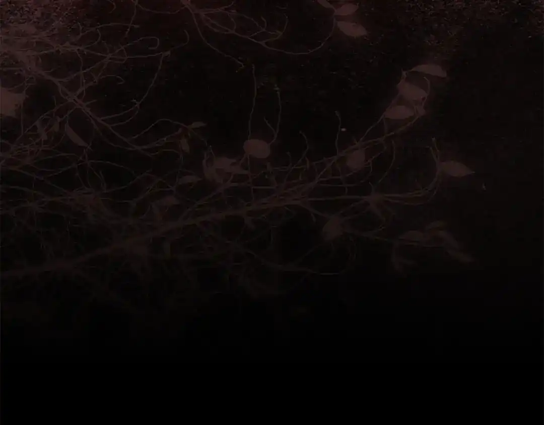 第206页