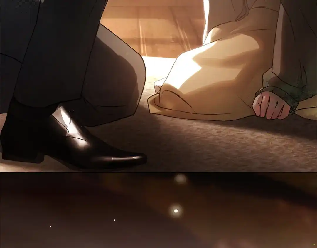 第233页