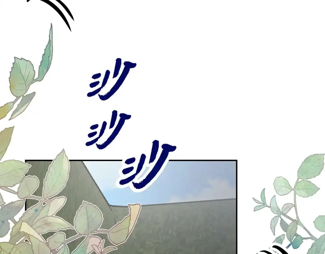 第197页