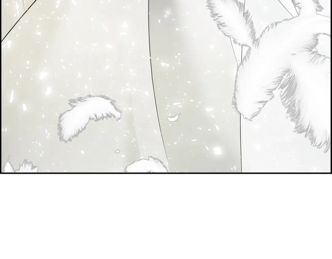 第211页