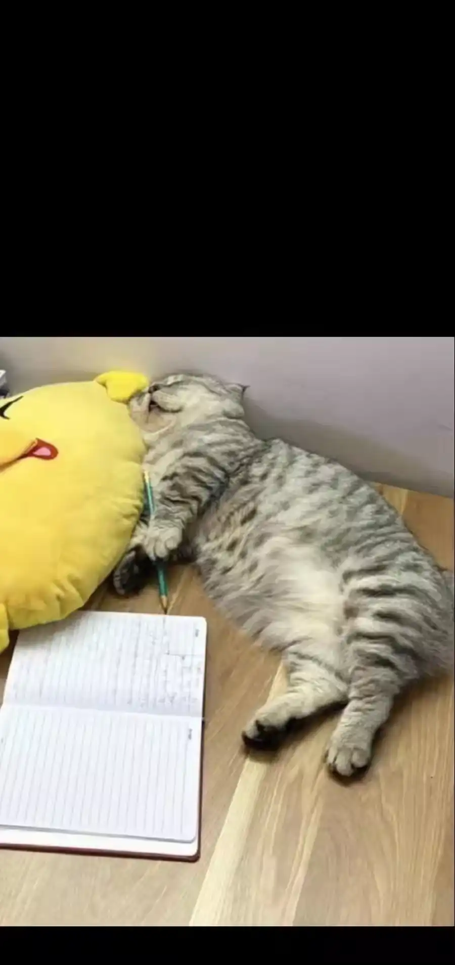 第84页