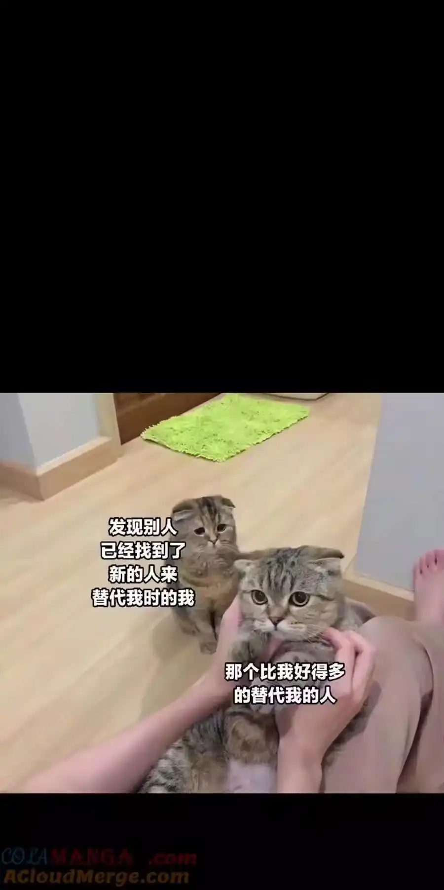 第82页