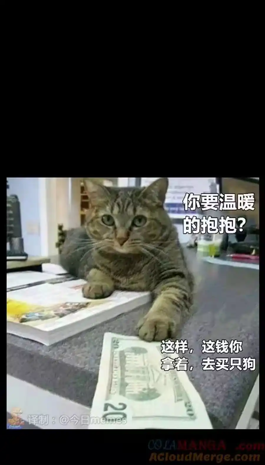 第55页