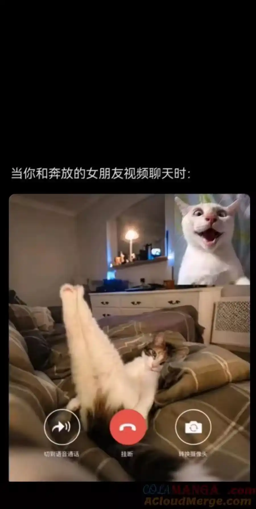 第91页