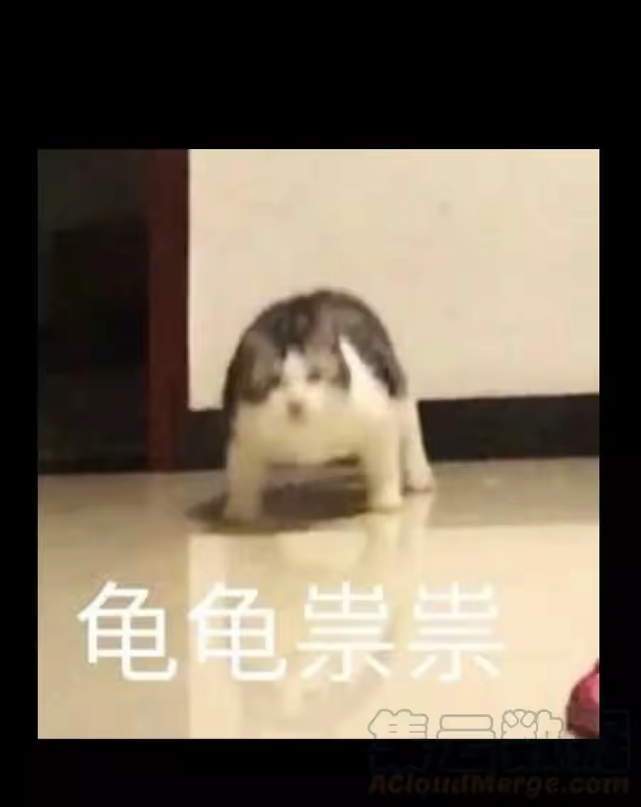 第85页