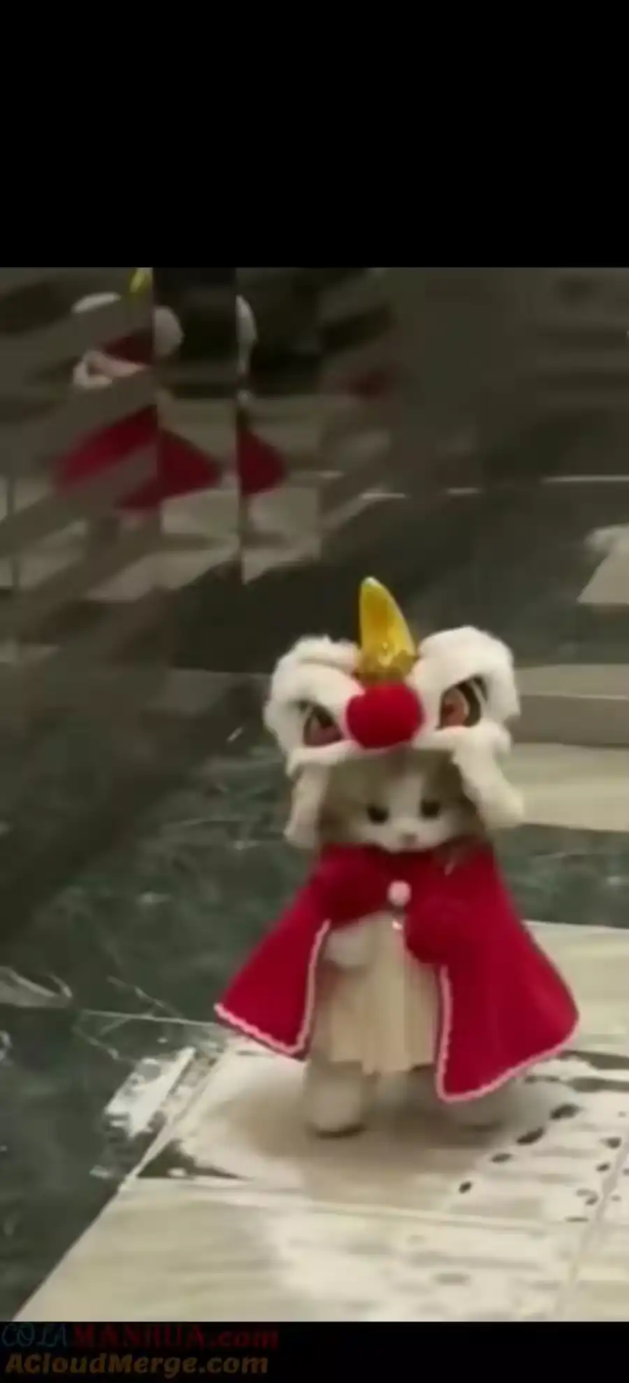 第82页