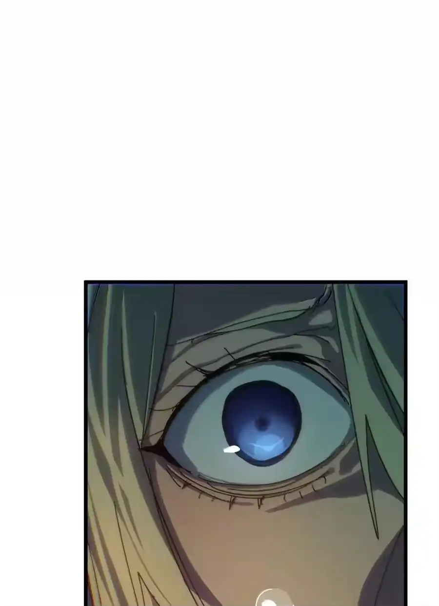 第231页