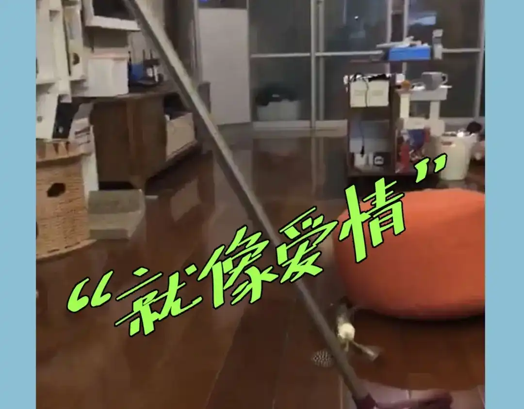 第169页